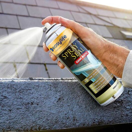 Easylife Spray N Seal in Black
